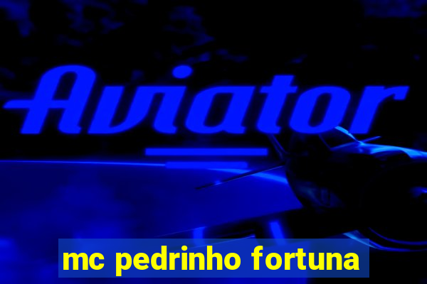 mc pedrinho fortuna